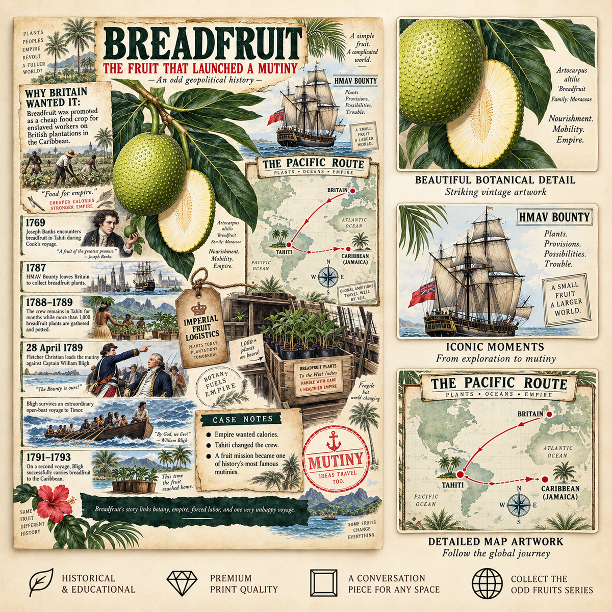 The Banana Wars: An Odd History of Fruit, Power & Trade
