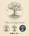 Living Grove - Home