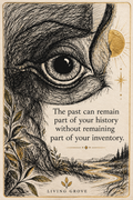 The Witness Collection card with hand-drawn eye and reflection about history and inventory